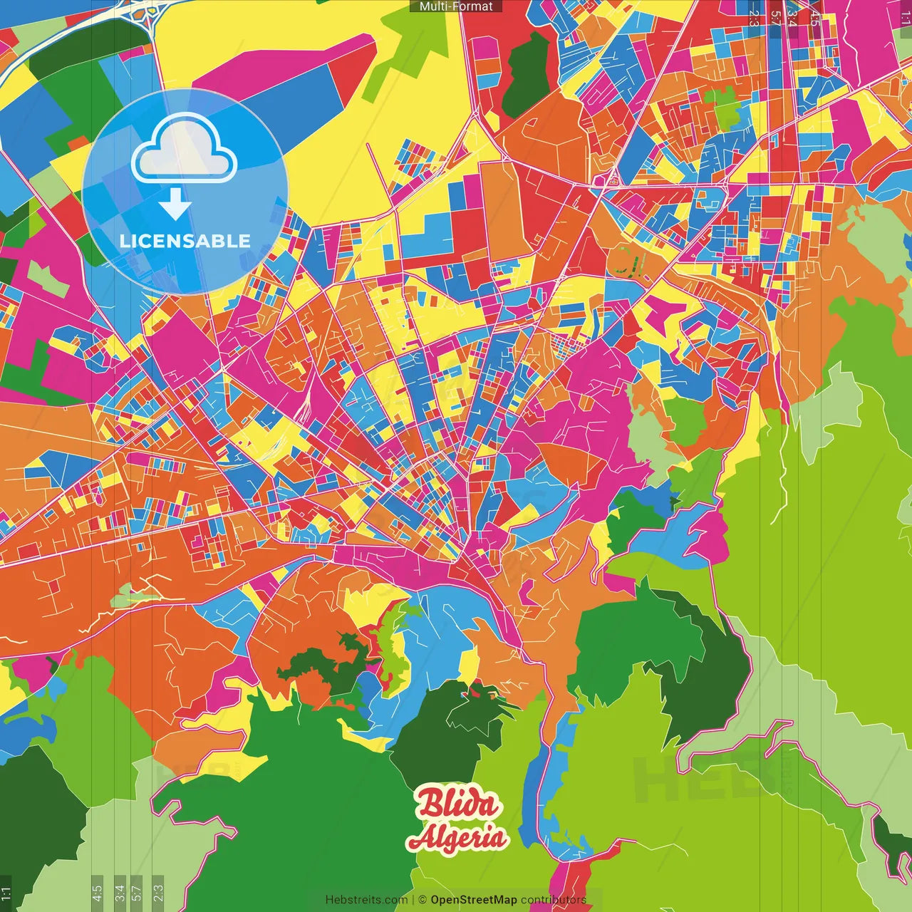 Blida, Algeria Crazy Colorful Street Map Poster Template