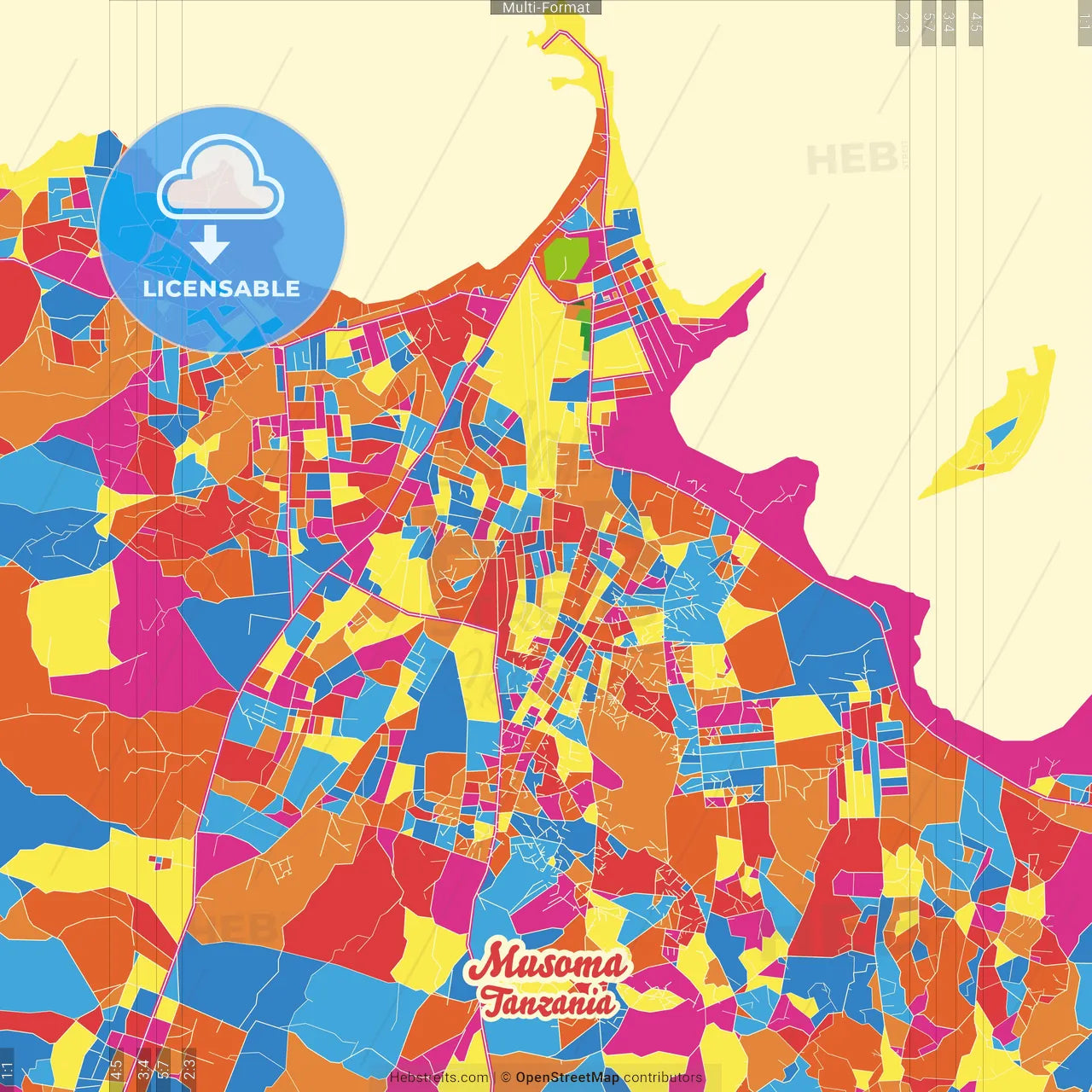 Musoma, Tanzania Crazy Colorful Street Map Poster Template