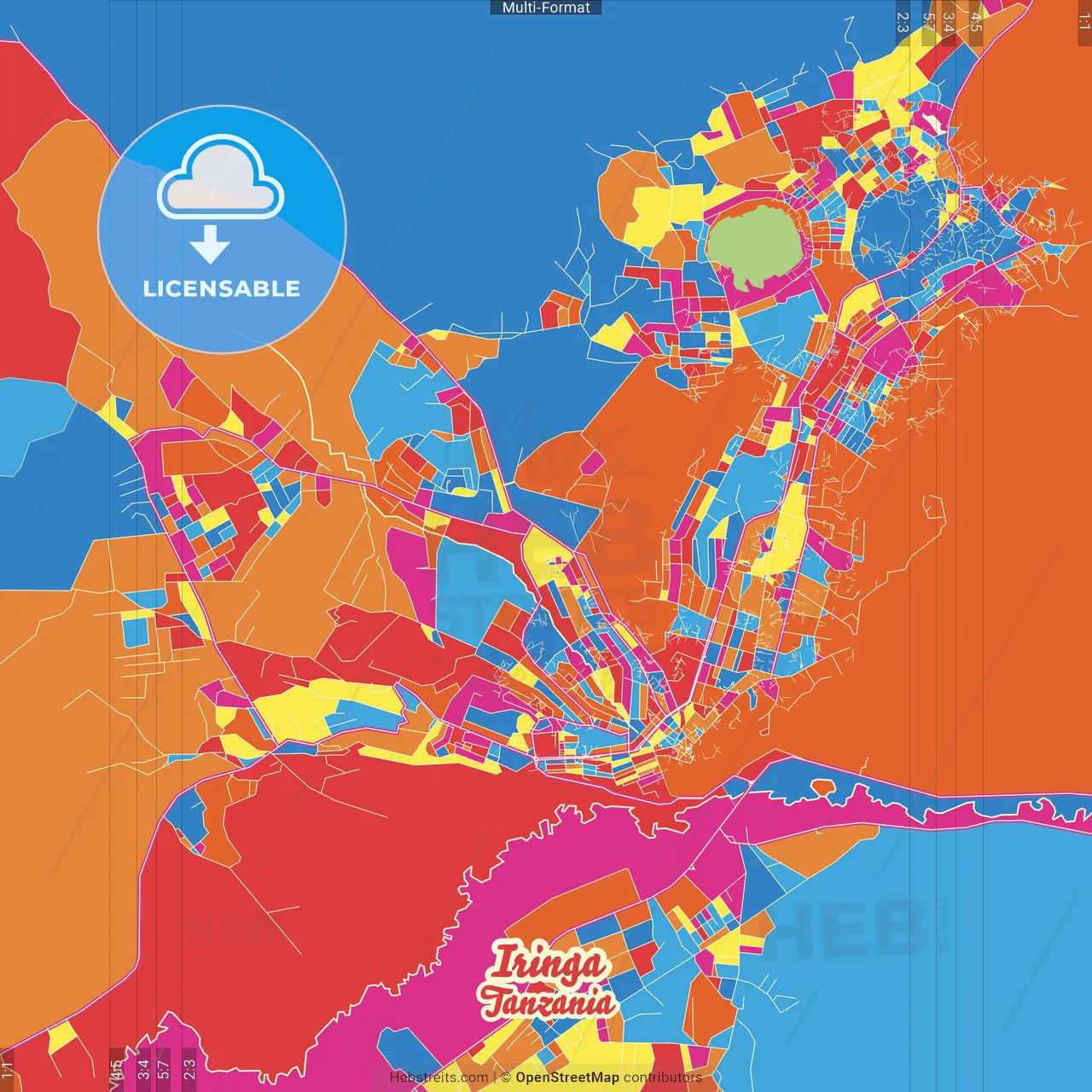 Iringa, Tanzania Crazy Colorful Street Map Poster Template