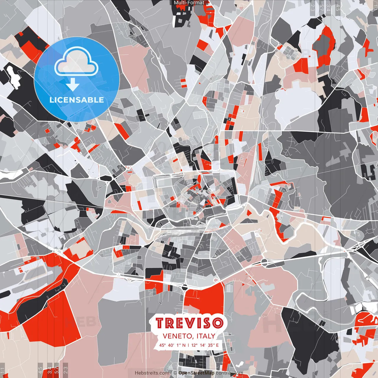 Treviso, Veneto, Italy - modern street map poster template with gray and red tones