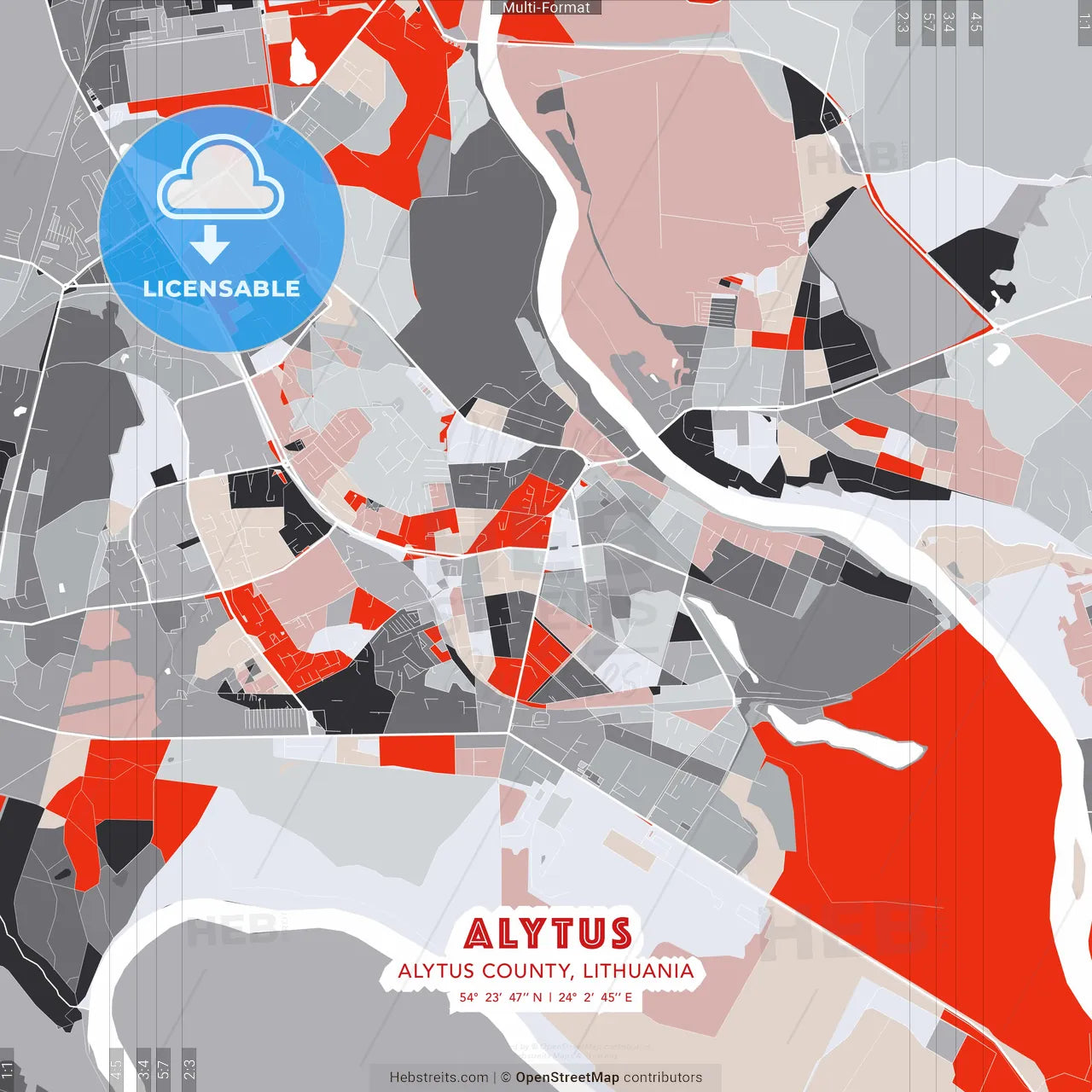 Alytus, Alytus County, Lithuania - modern street map poster template with gray and red tones