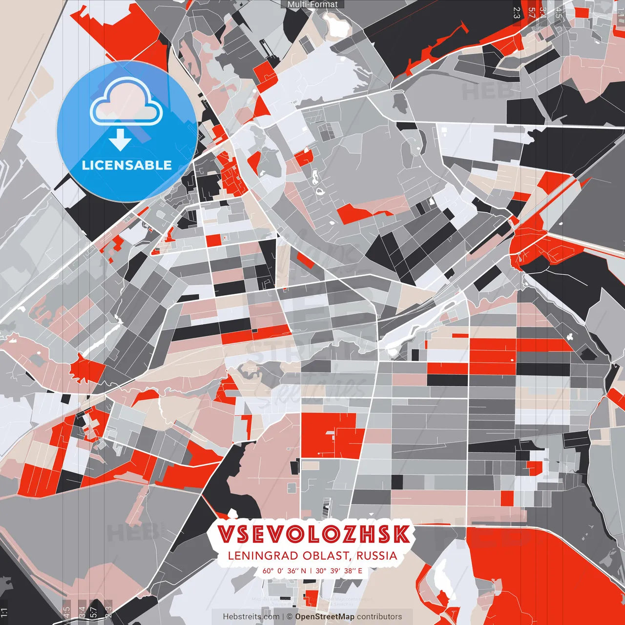 Vsevolozhsk, Leningrad Oblast, Russia - modern street map poster template with gray and red tones