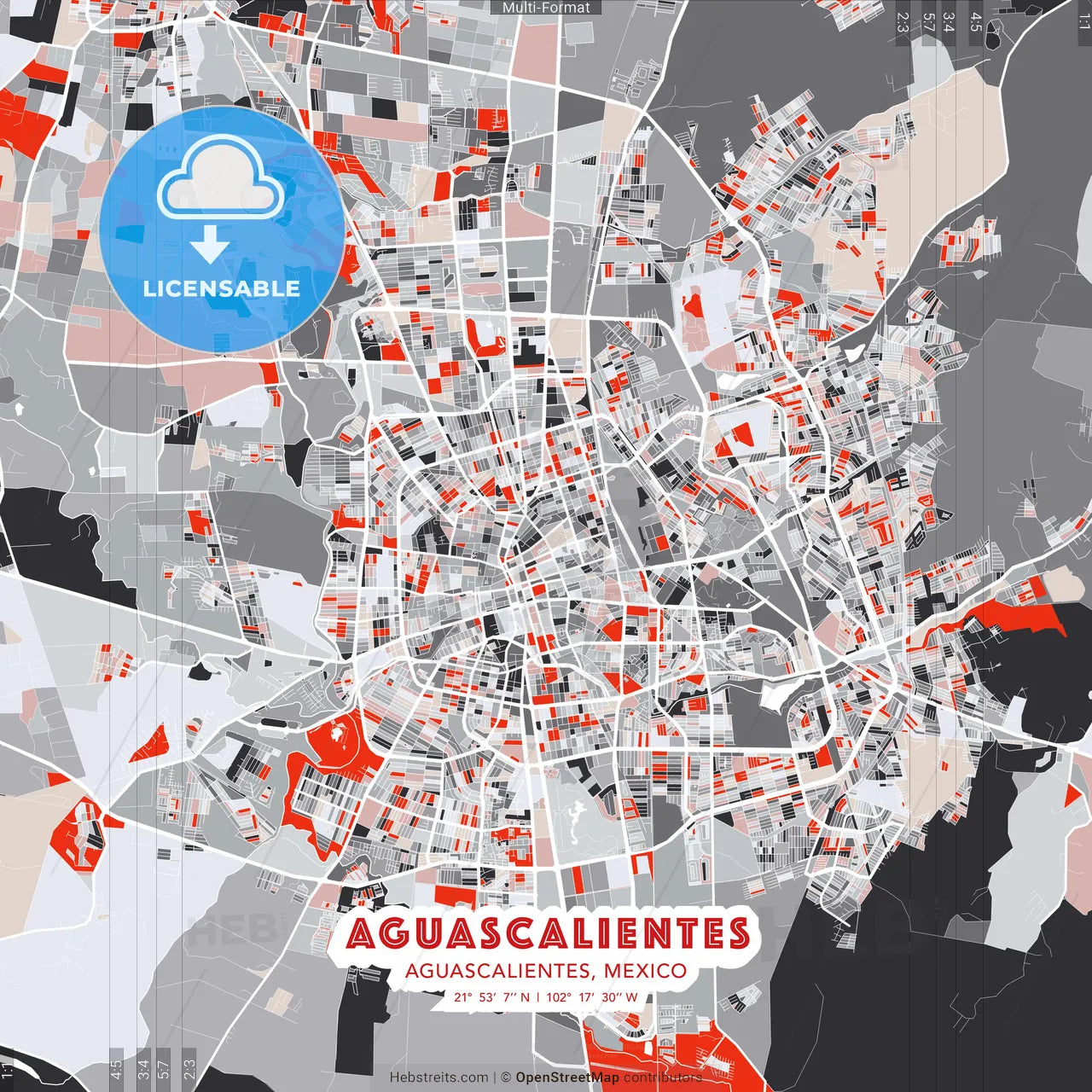 Aguascalientes, Aguascalientes, Mexico - modern street map poster template with gray and red tones