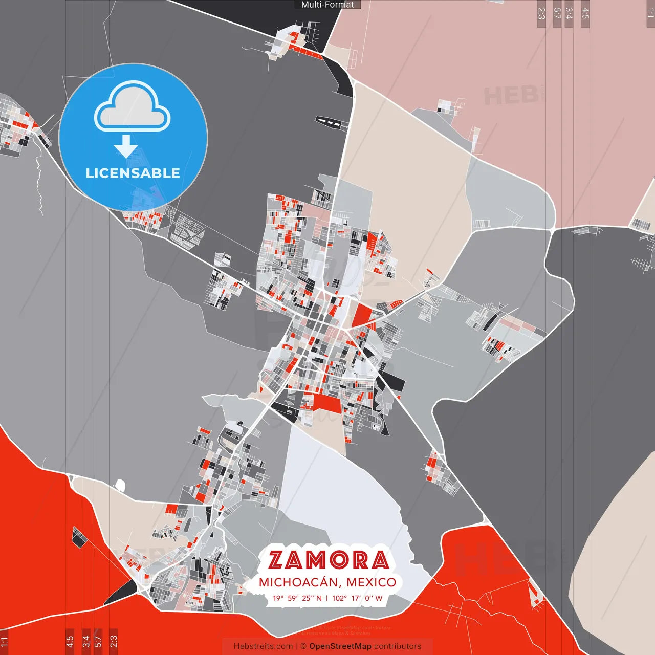Zamora, Michoacán, Mexico - modern street map poster template with gray and red tones
