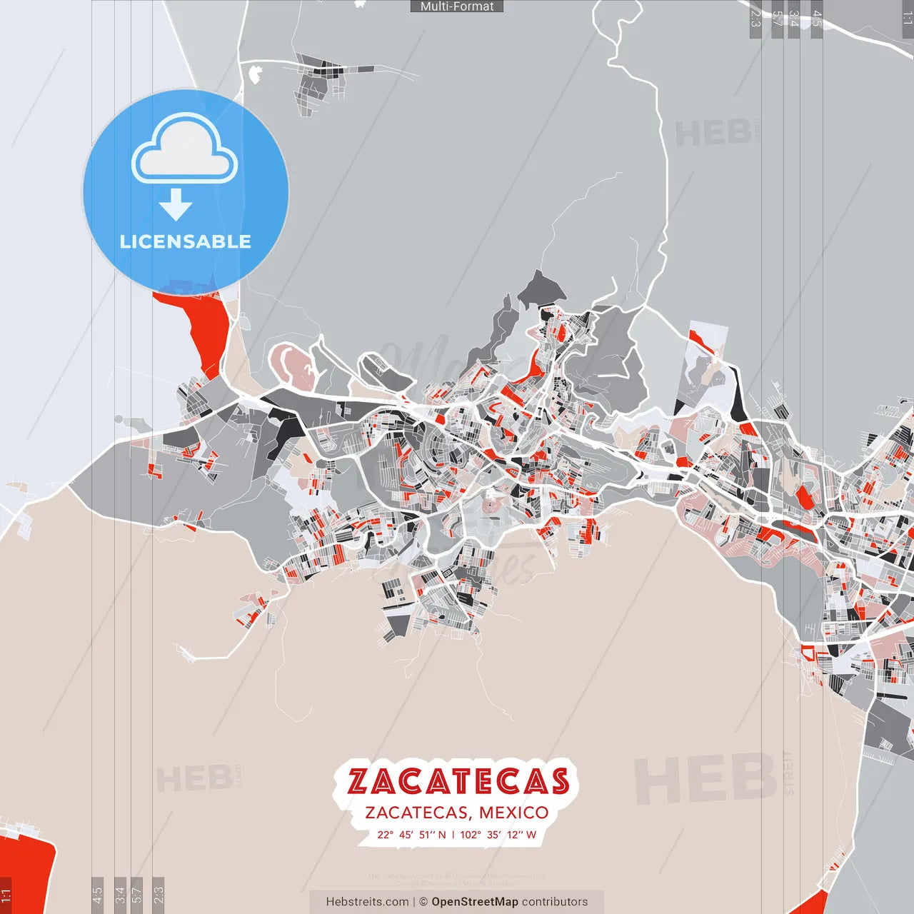 Zacatecas, Zacatecas, Mexico - modern street map poster template with gray and red tones
