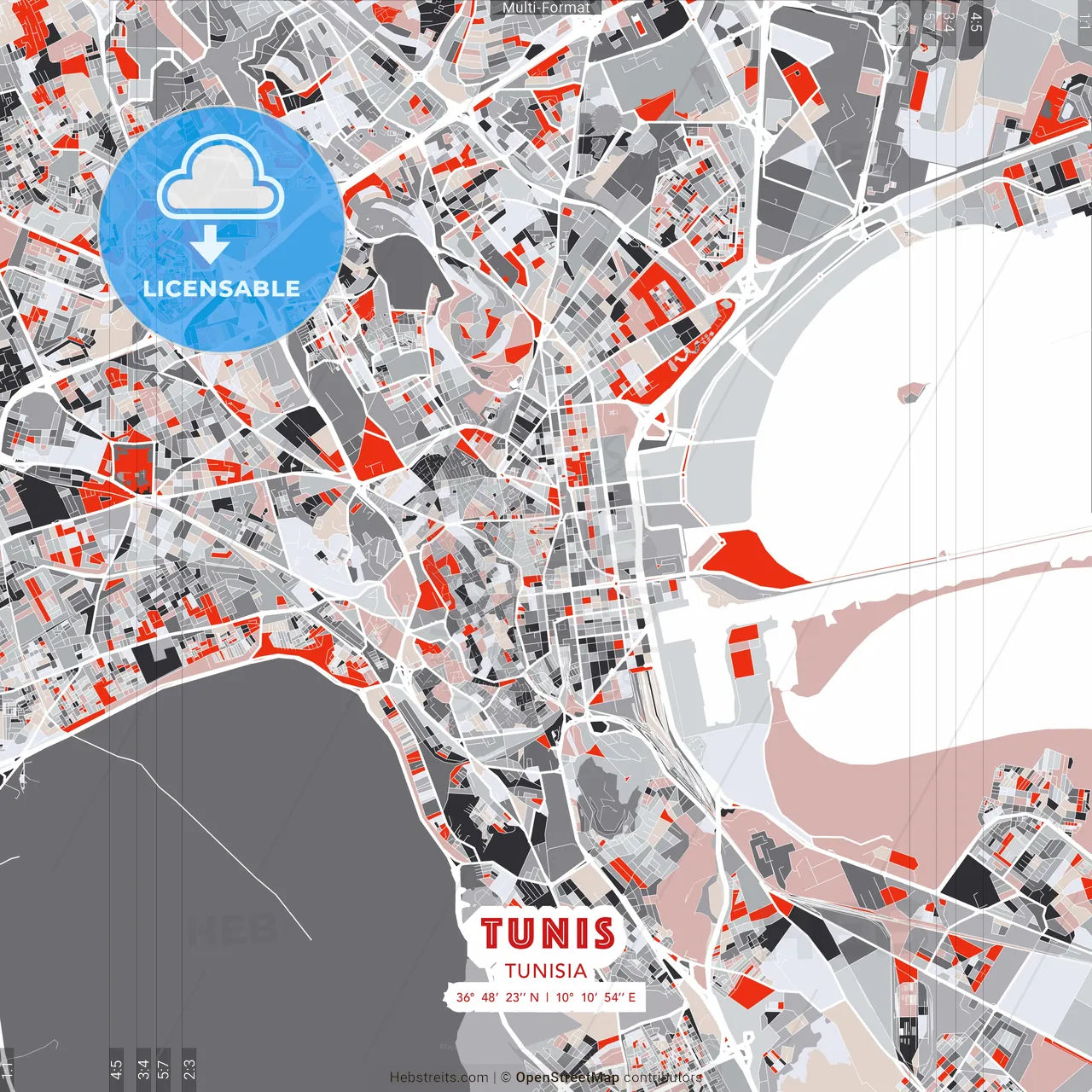 Tunis, Tunisia - modern street map poster template with gray and red tones