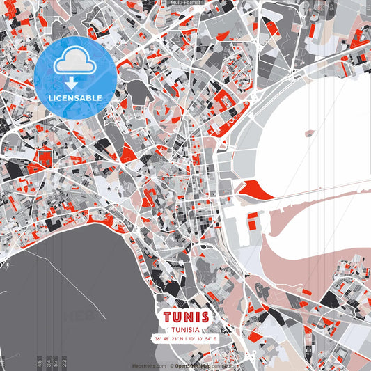 Tunis, Tunisia - modern street map poster template with gray and red tones