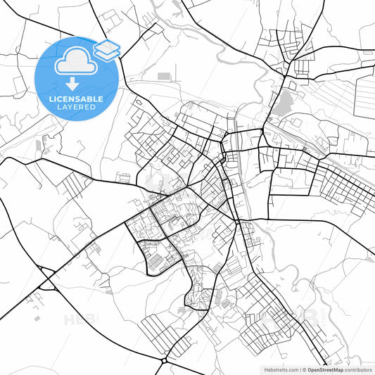 Layered PDF map of Slonim, Rajon, Belarus
