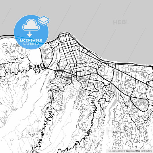 Layered PDF map of Saint-Denis, Réunion, France