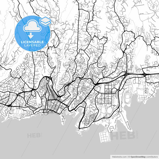 Layered PDF map of Fort-de-France, Martinique, France