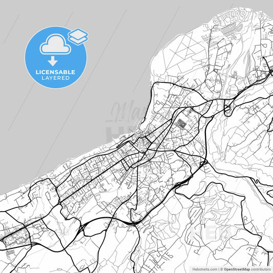 Layered PDF map of Thonon-les-Bains, Haute-Savoie, France