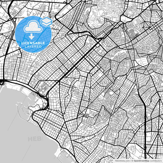 Layered PDF map of Nea Smyrni, Attica, Greece