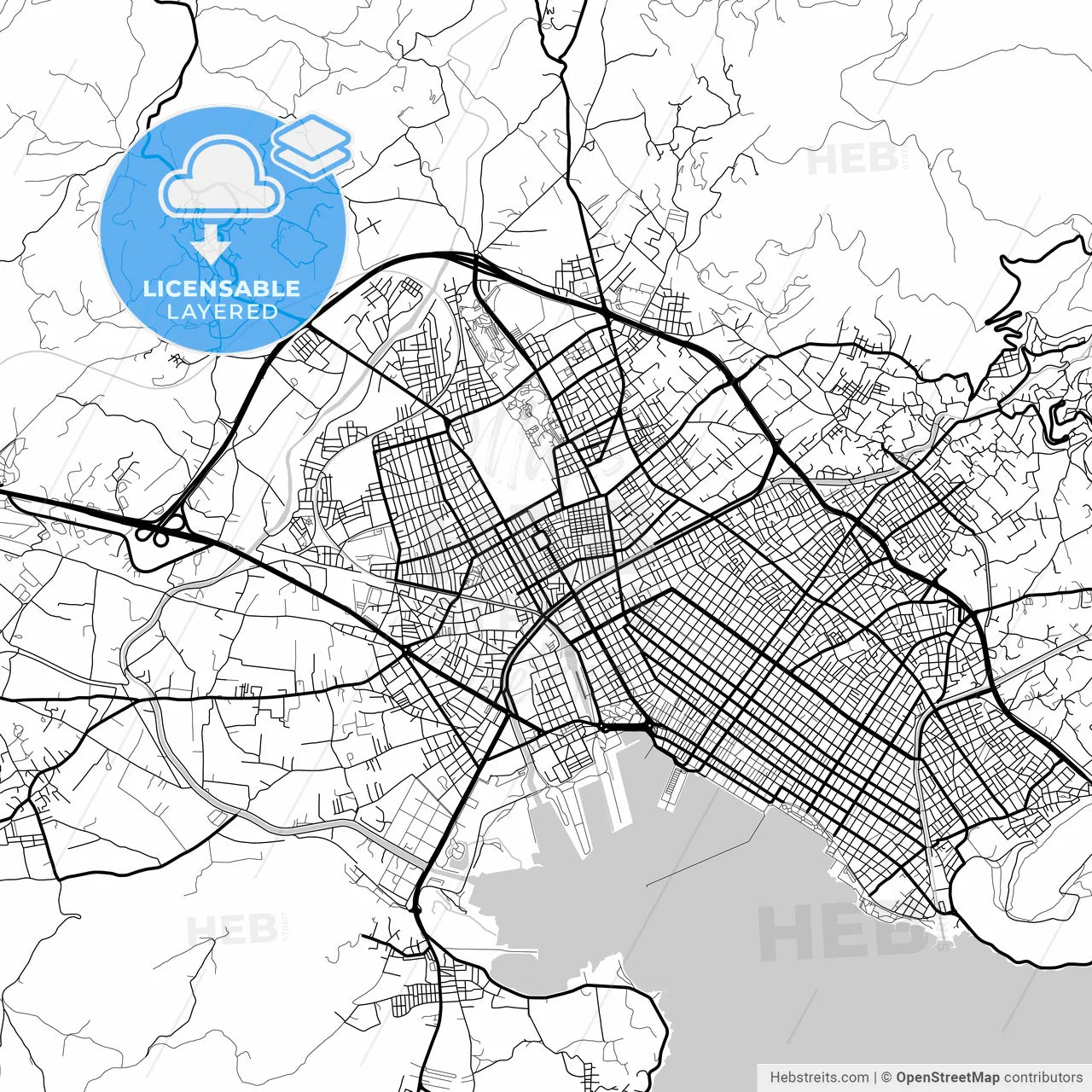 Layered PDF map of Nea Ionia, Thessaly, Greece