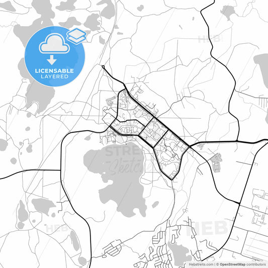 Layered PDF map of Visaginas, Utena County, Lithuania