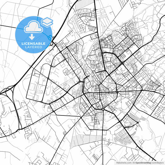 Layered PDF map of Koszalin, West Pomeranian, Poland