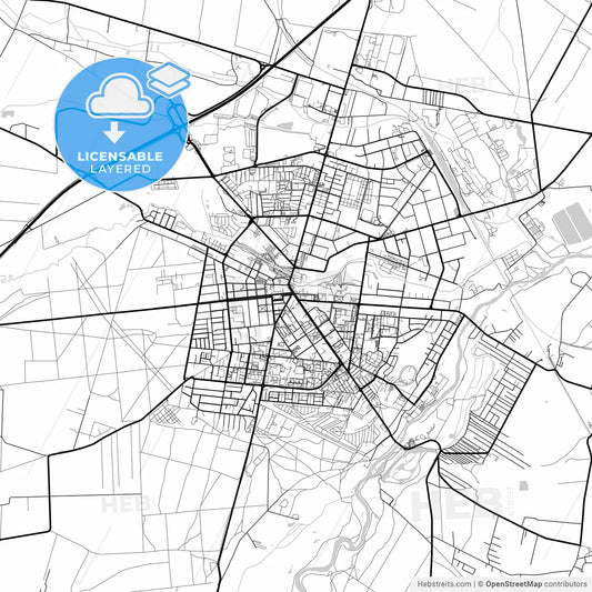 Layered PDF map of Tomaszów Mazowiecki, Łódź, Poland