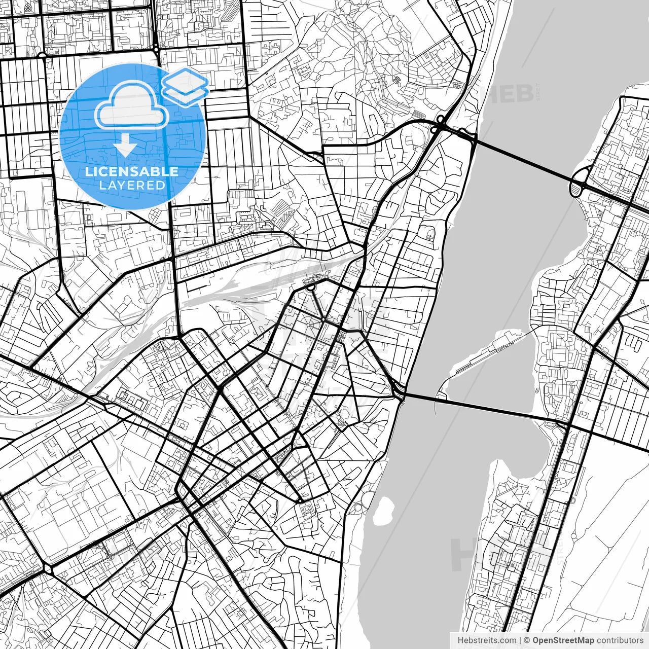 Layered PDF map of Voronezh, Voronezh Oblast, Russia