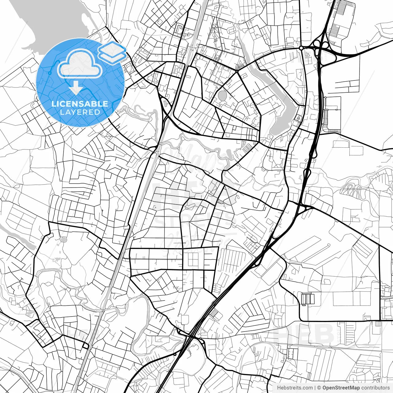 Layered PDF map of Pushkino, Moscow Oblast, Russia