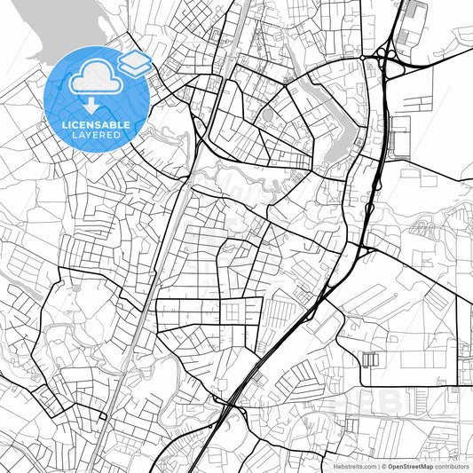 Layered PDF map of Pushkino, Moscow Oblast, Russia