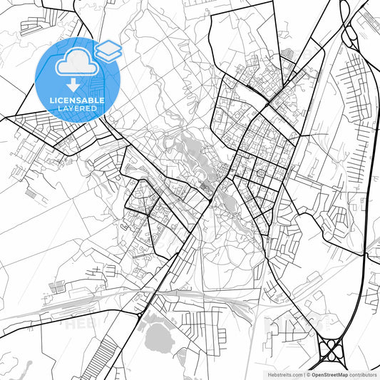 Layered PDF map of Gatchina, Leningrad Oblast, Russia