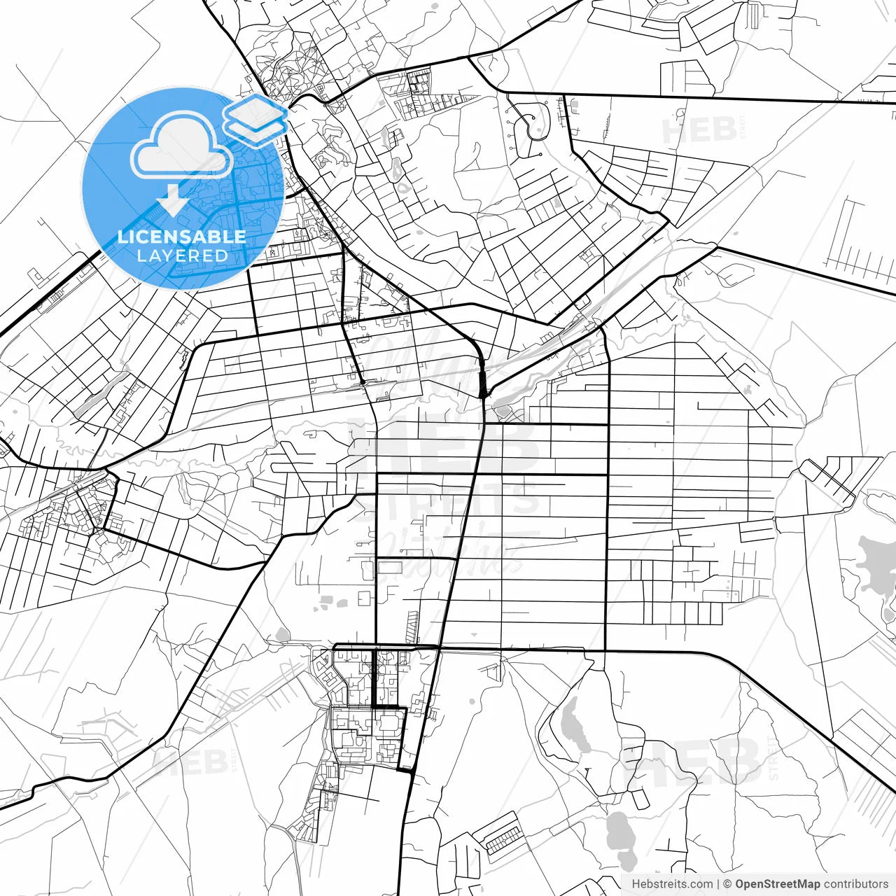 Layered PDF map of Vsevolozhsk, Leningrad Oblast, Russia