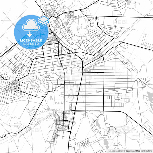 Layered PDF map of Vsevolozhsk, Leningrad Oblast, Russia