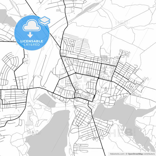 Layered PDF map of Vyksa, Nizhny Novgorod Oblast, Russia