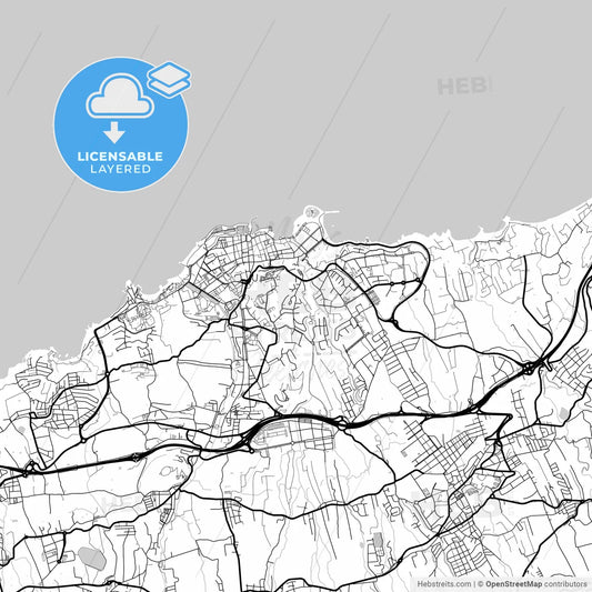 Layered PDF map of Puerto de la Cruz, Santa Cruz de Tenerife, Spain