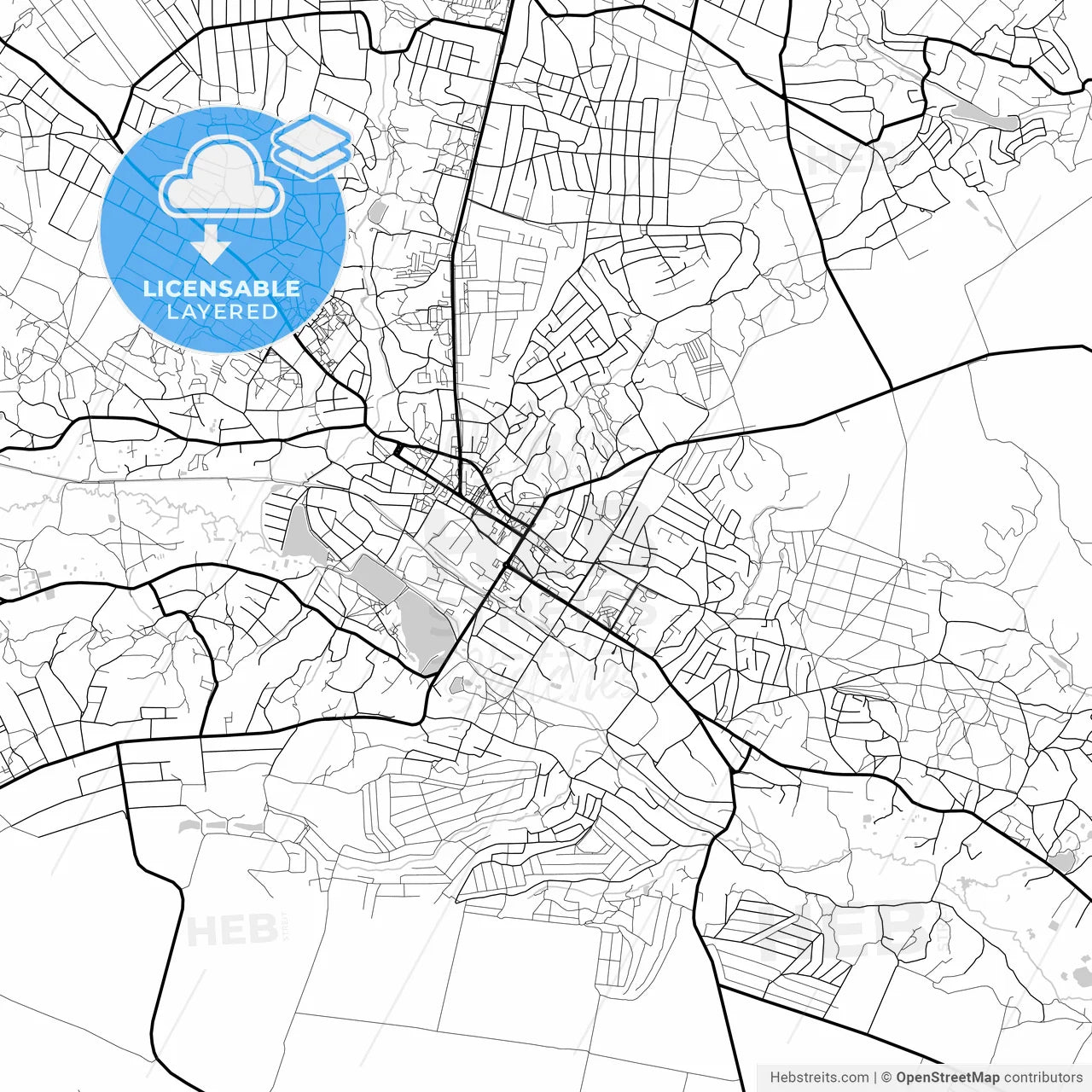 Layered PDF map of Vasylkiv, Kyiv Oblast, Ukraine