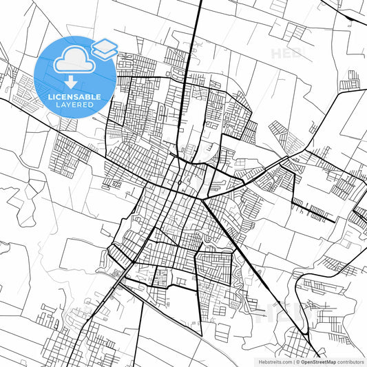Layered PDF map of Zamora, Michoacán, Mexico