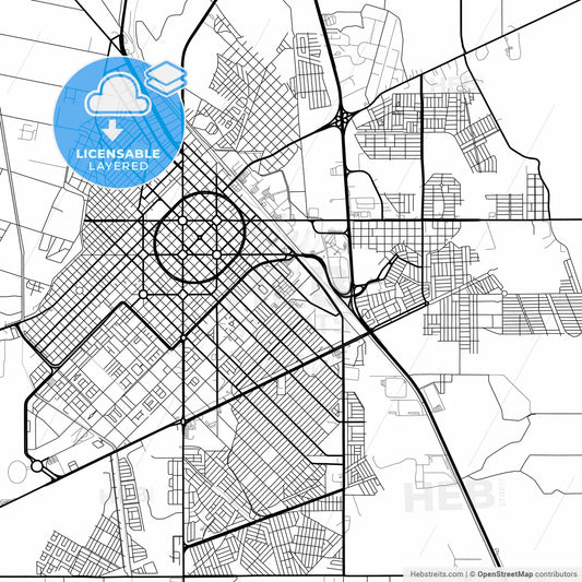 Layered PDF map of Delicias, Chihuahua, Mexico