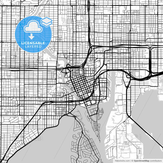 Layered PDF map of Tampa, Florida, United States