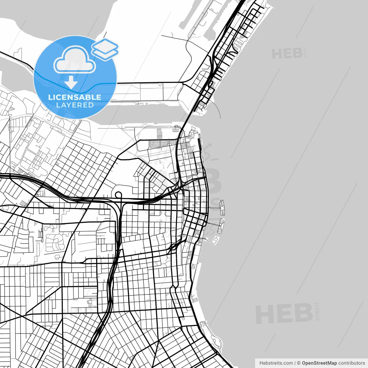 Layered PDF map of Corpus Christi, Texas, United States