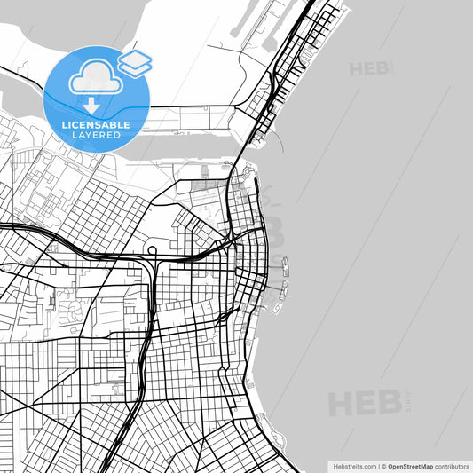 Layered PDF map of Corpus Christi, Texas, United States