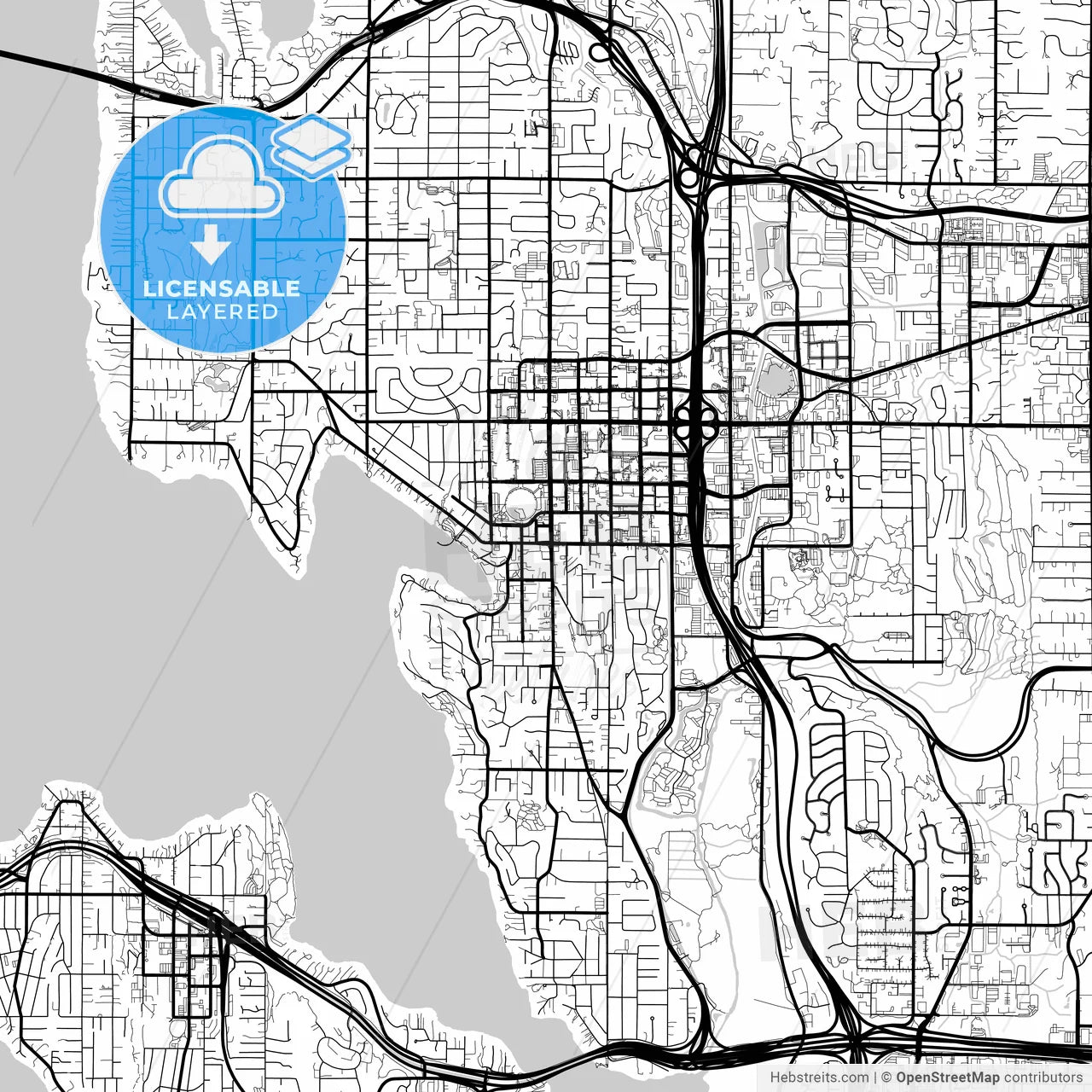 Layered PDF map of Bellevue, Washington, United States