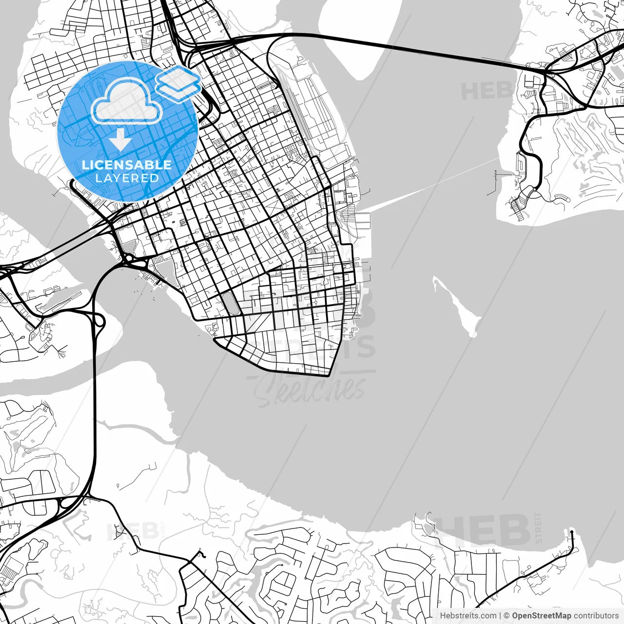 Layered PDF map of Charleston, South Carolina, United States