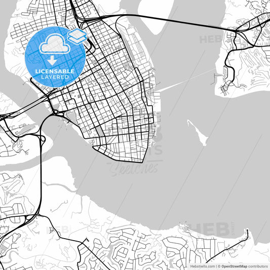 Layered PDF map of Charleston, South Carolina, United States