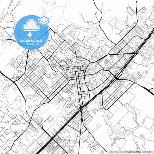 Layered PDF map of San Marcos, Texas, United States