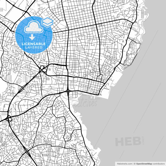Layered PDF map of Maracaibo, Venezuela