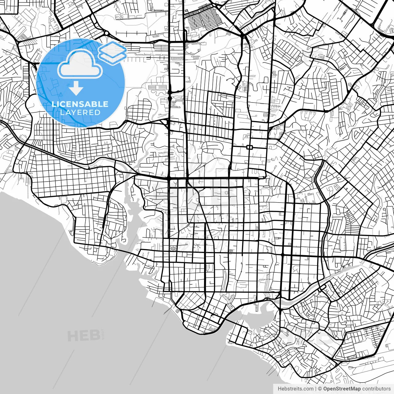 Layered PDF map of Manaus, Brazil