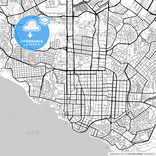 Layered PDF map of Manaus, Brazil