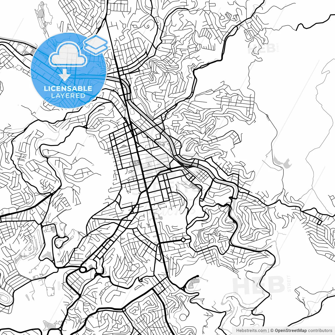 Layered PDF map of Juiz de Fora, Brazil