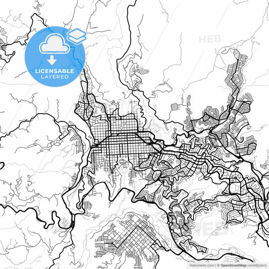 Layered PDF map of Manizales, Colombia