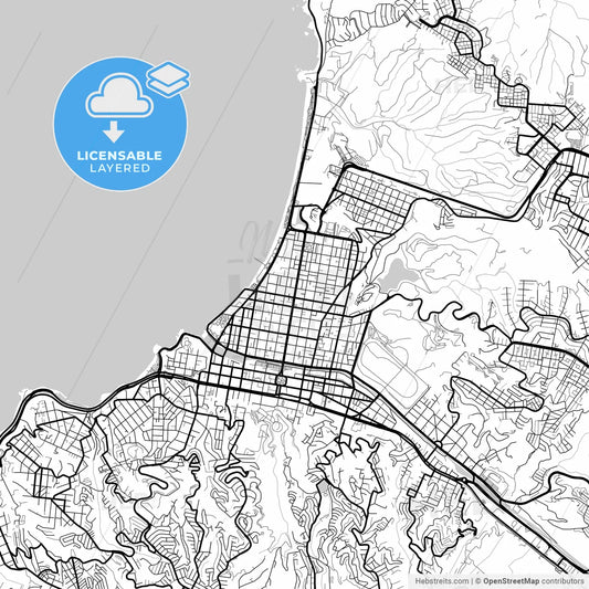 Layered PDF map of Vina del Mar, Chile