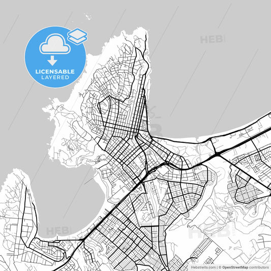 Layered PDF map of Coquimbo, Chile