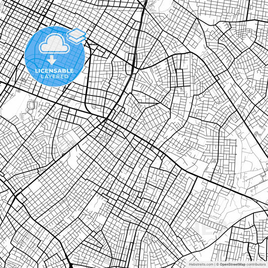 Layered PDF map of Fernando de la Mora, Paraguay