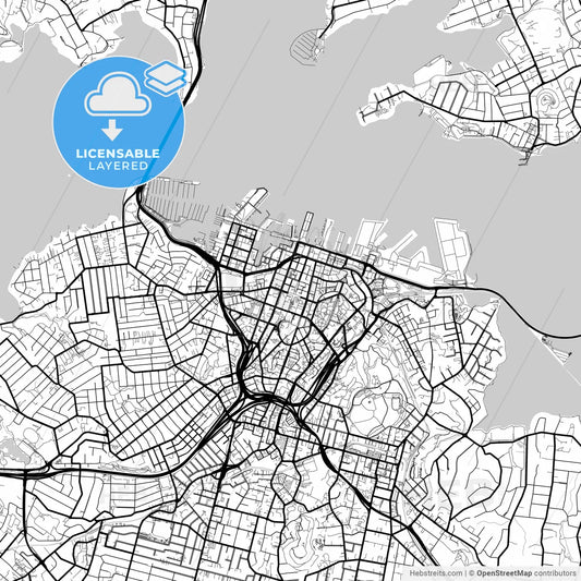 Layered PDF map of Auckland, New Zealand