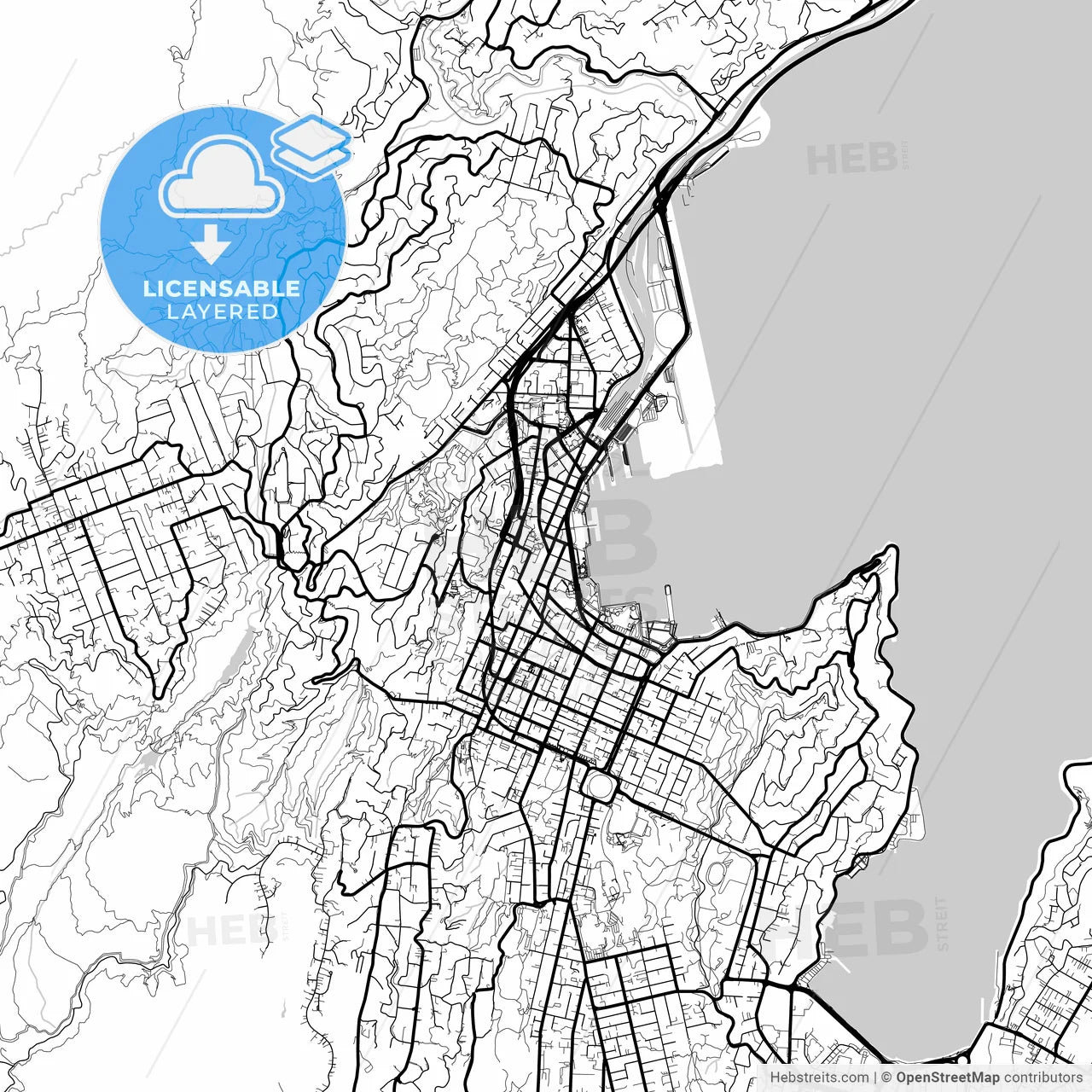 Layered PDF map of Wellington, New Zealand