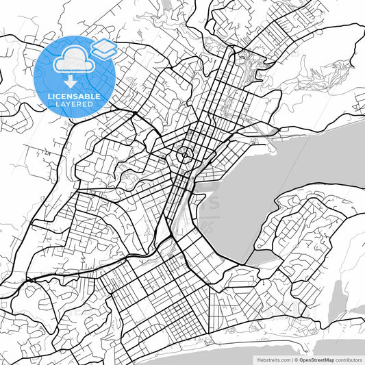 Layered PDF map of Dunedin, New Zealand