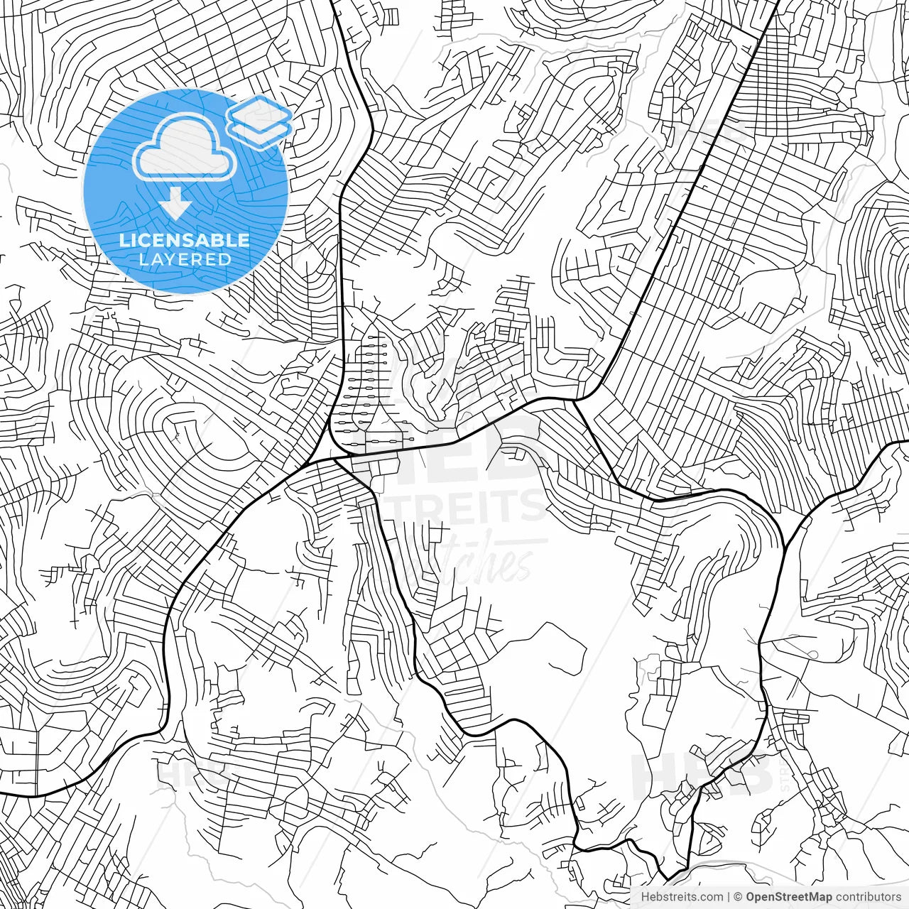 Layered PDF map of Kinshasa, DR Congo